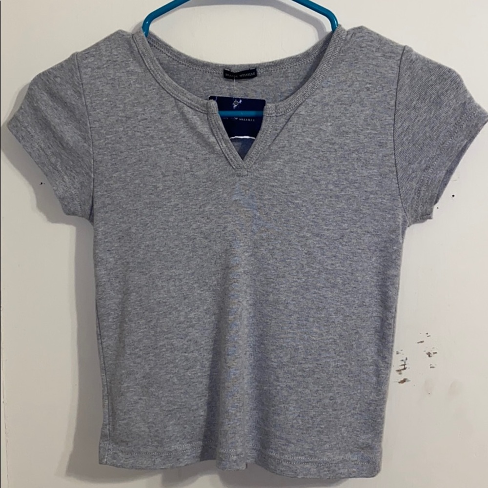 gray brandy melville crop top